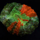 Acanthophyllia Lmdlm