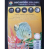 Stoffels Discusfood Extra Garlic blister de 100 gr
