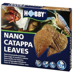 Nano Catappa Leaves (12 pcs)