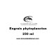 Engrais Phytoplancton 250ml - Le Monde De La Mer