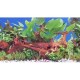 Posters - 2 sides corals, roots and plants