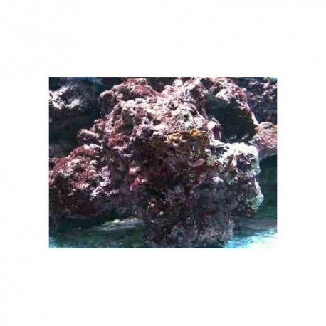 Pierres vivantes INDONESIE premium pack + ou - 25kg