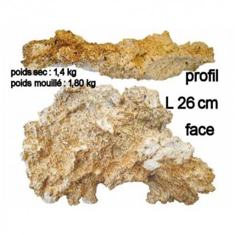 Aquaroche reef plates - La piece