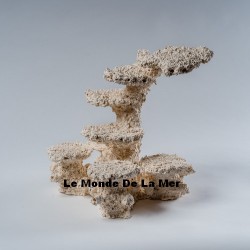 Aquaceramic S pillar oblique droit - Le Monde De La Mer