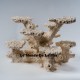 Aquaceramic M pillar Dual  - Le Monde De La Mer