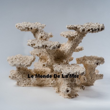 Aquaceramic M pillar Dual  - Le Monde De La Mer