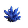 Acropora Grade A LMDLM