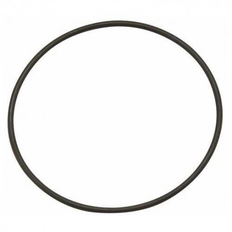 AquaBee O-Ring for UP 2000 and 3000 pump