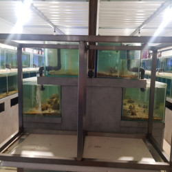 Stainless steel aquarium support 150x60x90 cm