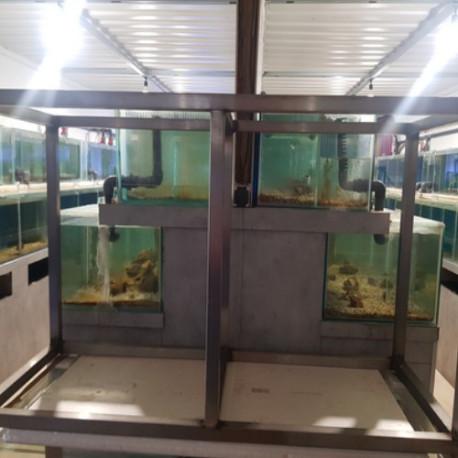 Support aquarium inox 150x60x90 cm