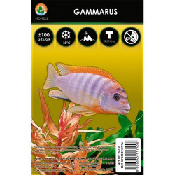 Gammarus in blister of 100 gr